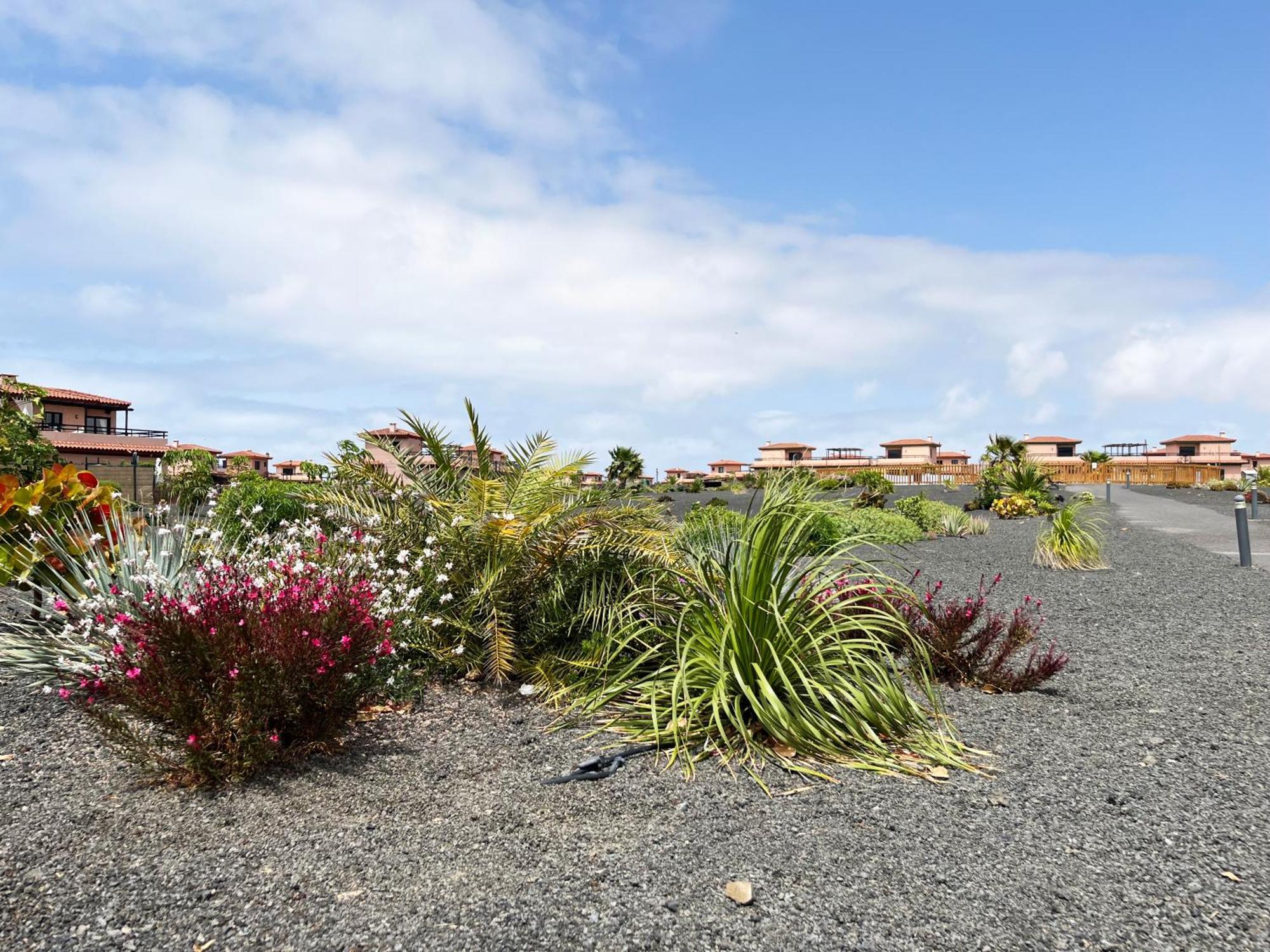 Vakantiehuis Casa Solayla Origomare